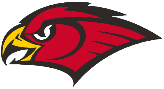 Atlanta Hawks 1998-2007 Secondary Logo iron on transfers for T-shirts